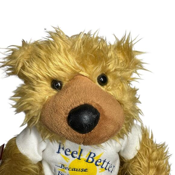 PBC NOAH BENSHEA Feel Better TALKING Animated Plush Stuffed Teddy BEAR w/ Tag - Picture 2 of 14